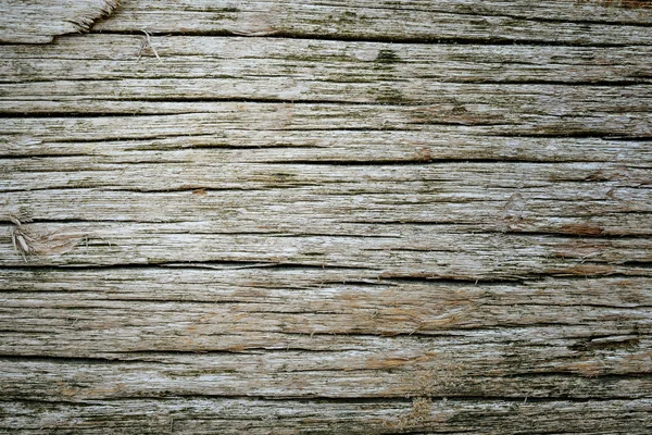 Rotten wood background — Stock Photo, Image