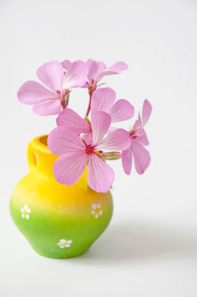 花瓶にピンクのきれいな花 — ストック写真