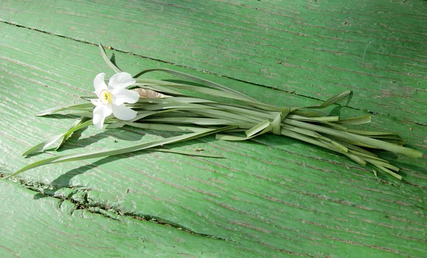 Daffodil on an old wooden table — Stock Photo, Image