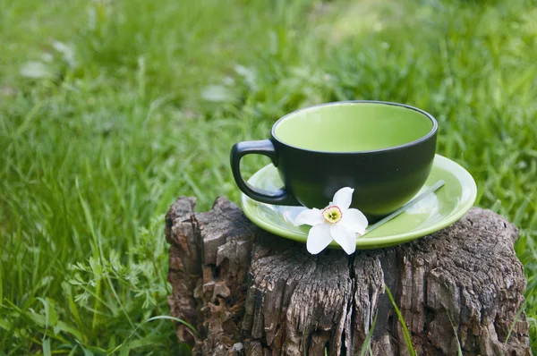 En kopp med en blomma på gröna plattan — Stockfoto
