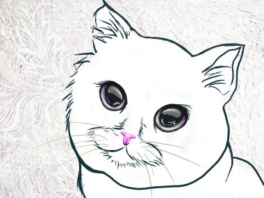 kedi ile kart