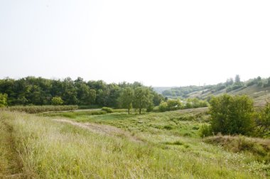 Yeşil orman ve tepeler