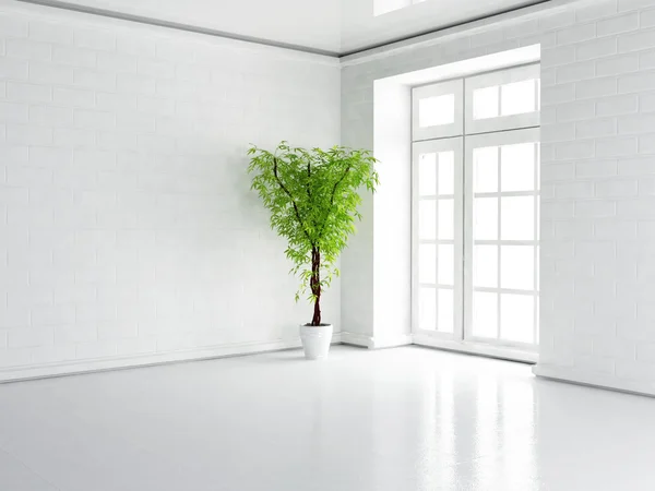 Pencerenin yanında yeşil bitki — Stok fotoğraf