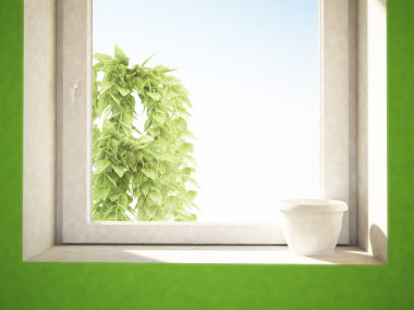  pencere pervazı beyaz pot