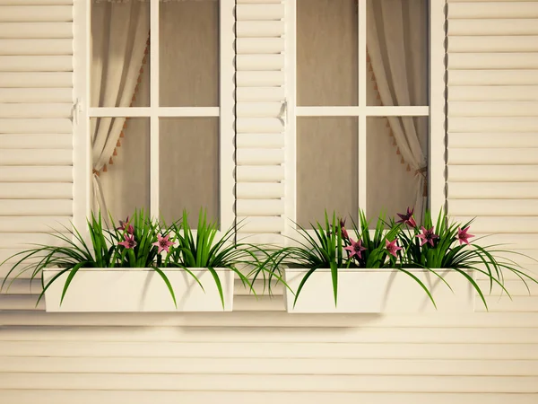 Windows on the house and the plants — Stock Photo, Image