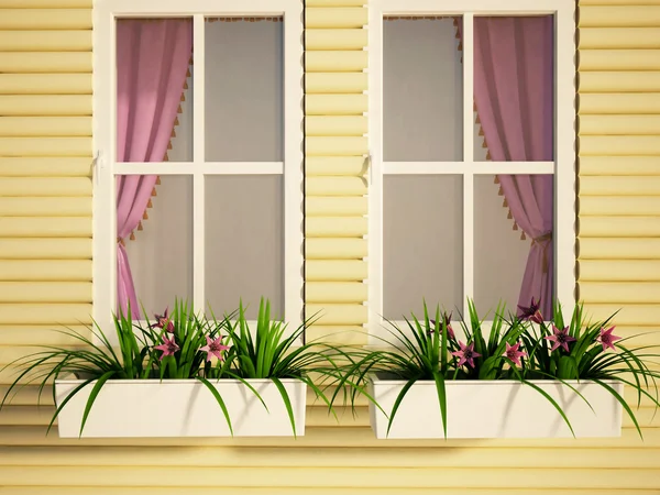 Windows on the house and the plants — Stock Photo, Image