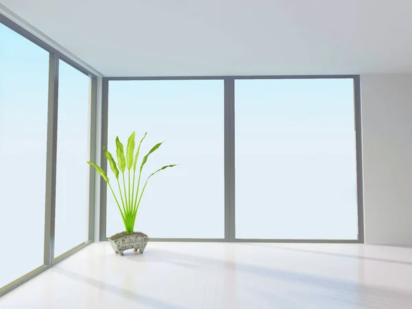 Planta en una habitación blanca — Foto de Stock