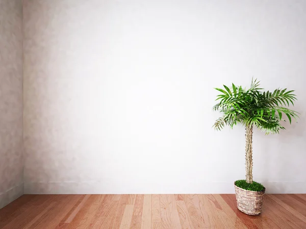 Зеленое растение в номере — стоковое фото