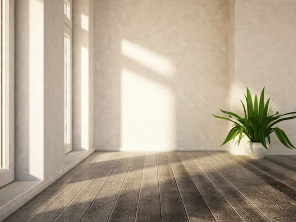 Pflanze in der Nähe im leeren Raum — Stockfoto
