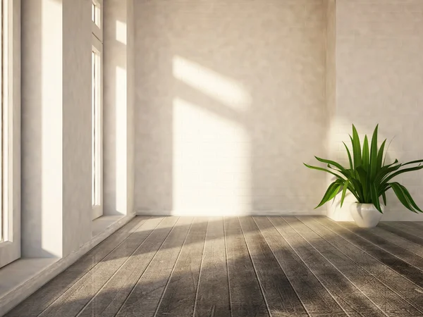 Plante près de dans la chambre vide — Photo