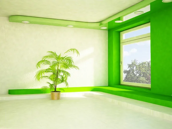 Zelená rostlina v místnosti — Stock fotografie