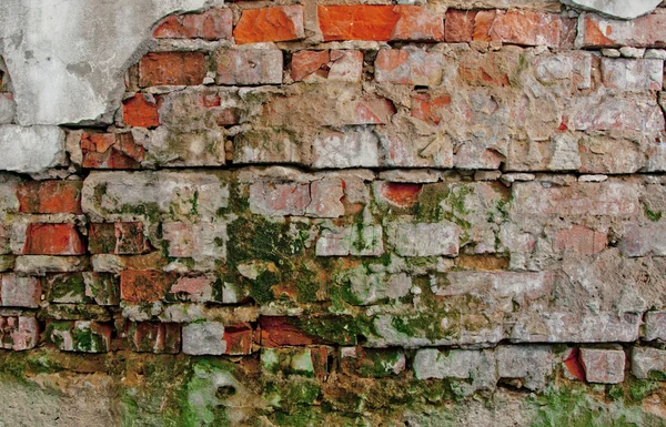 Alte Ziegelmauer — Stockfoto