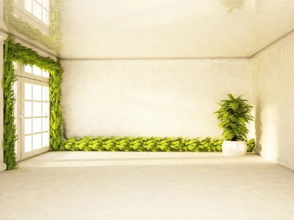 Grüne Pflanzen im Raum, — Stockfoto
