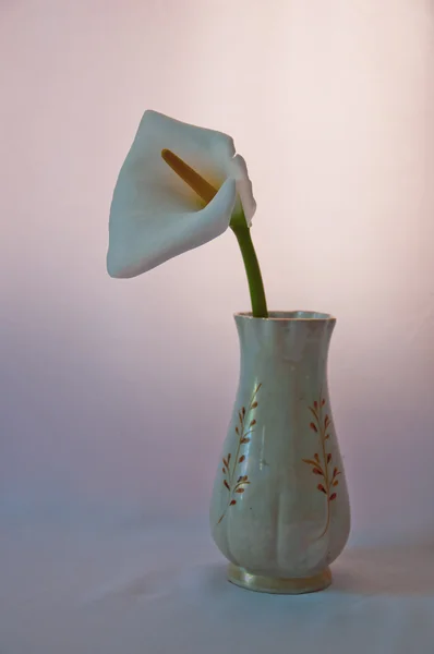 Цветок в фарфоровой вазе — стоковое фото