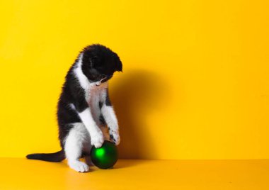Kedi yavrusu bir Noel ağacı oyuncağıyla oynuyor. Kopya alanı olan sarı arkaplan üzerindeki kedi yavrusu.