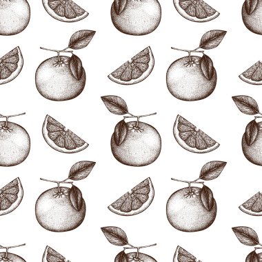 narenciye elle çizilmiş topluluğu