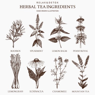 Herbal tea ingredients clipart