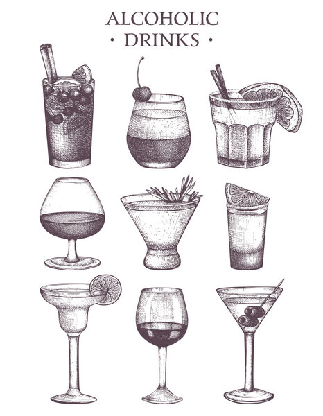 hand drawn alcoholic drinks illustration