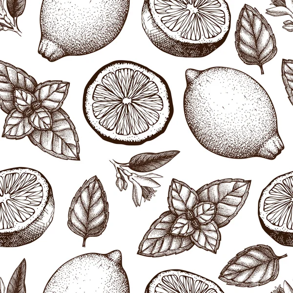 Limones dibujados a mano — Archivo Imágenes Vectoriales