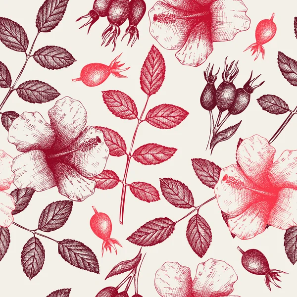 框架与粉红色的芙蓉花 — 图库矢量图片