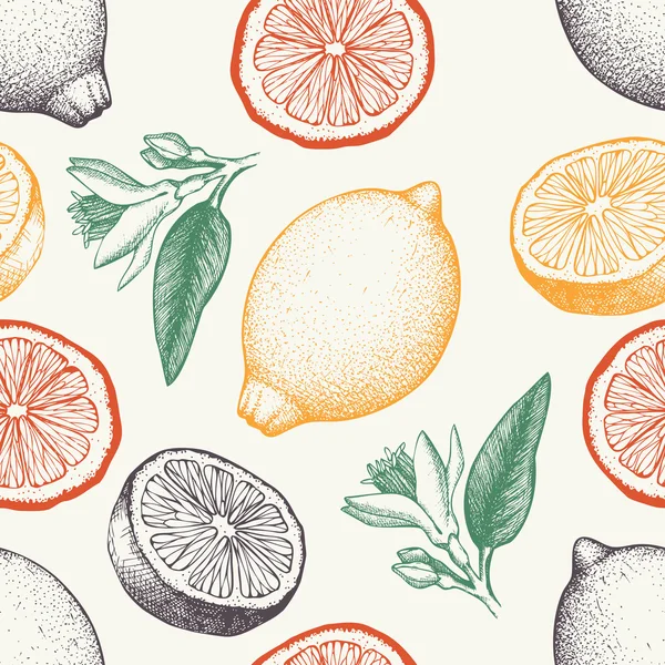 Citrons dessinés à la main — Image vectorielle