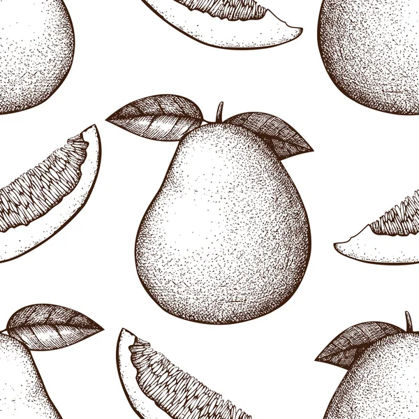 Fruits pomelo dessinés à la main — Image vectorielle