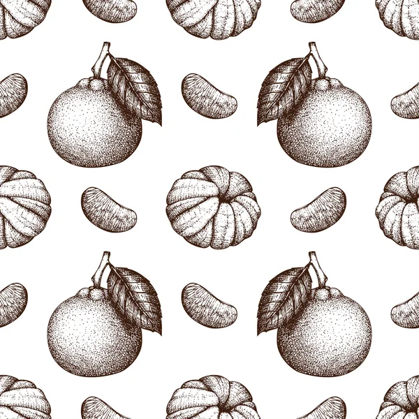 Fruits de mandarine dessinés à la main — Image vectorielle