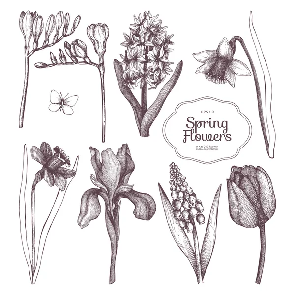 Hand drawn spring flowers Vector Graphics