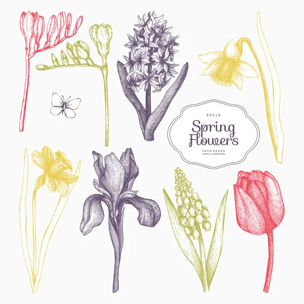 Hand drawn spring flowers Stock Vector