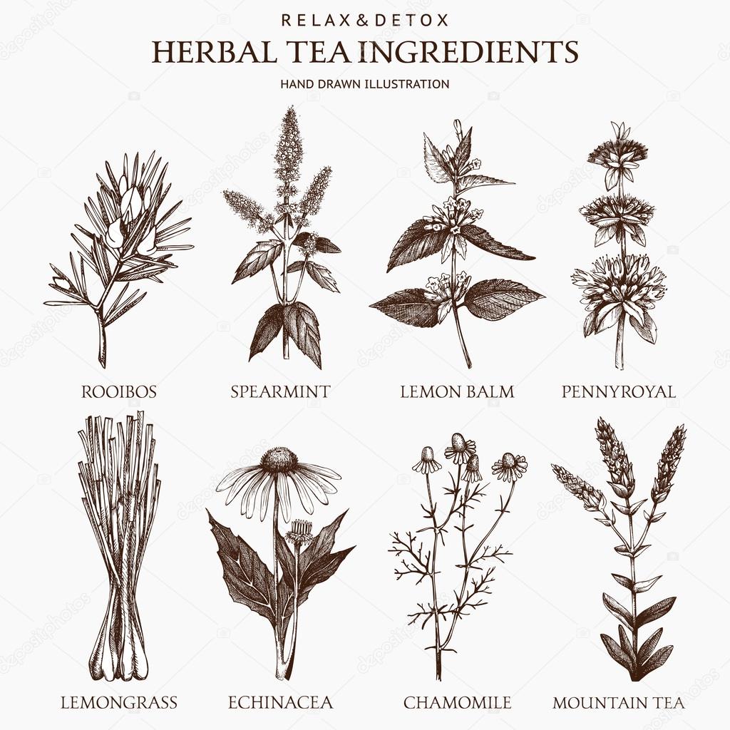 Herbal tea ingredients
