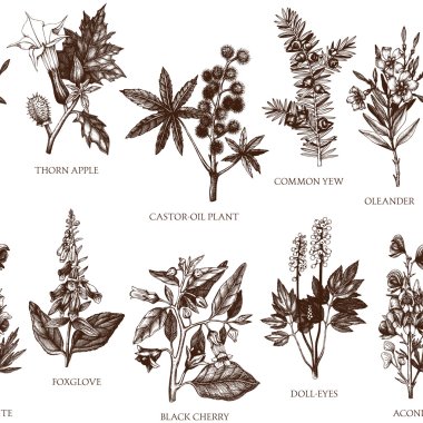 Vintage botanical noxious plants sketches clipart