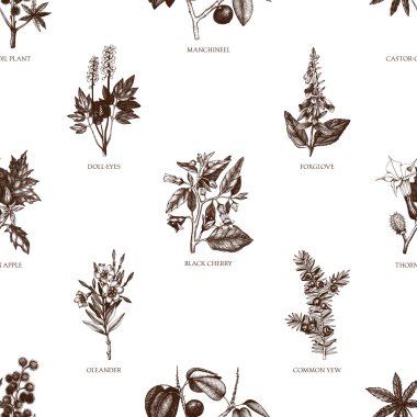 Seamless pattern with poisonous plants clipart