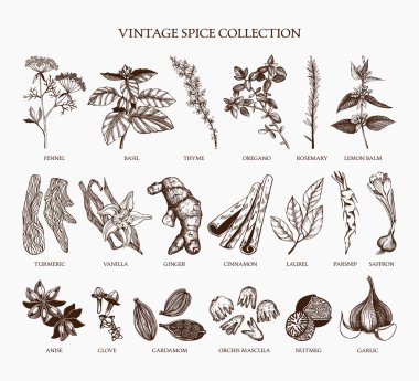 Baharat ve otlar Vintage seti