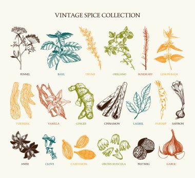 Baharat ve otlar Vintage seti