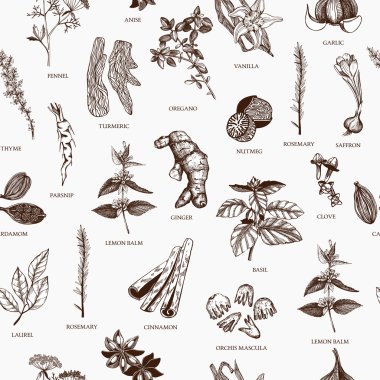 Vintage spices and herbs background clipart