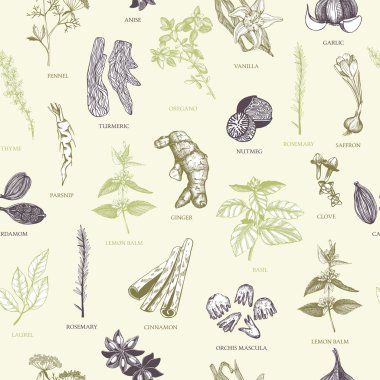 Vintage spices and herbs background clipart