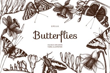 bahar çiçekleri ve kelebekler