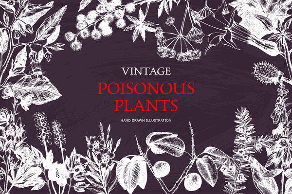 Винтажные вредные наброски растений
