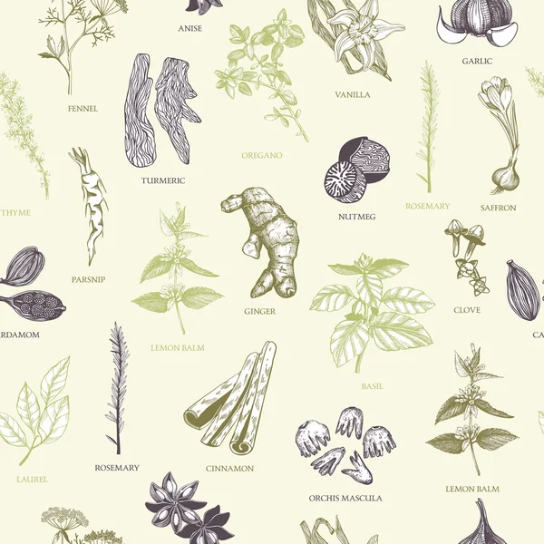 Vintage spices and herbs background — Stock Illustration Vintage spices and herbs background Vector Graphics