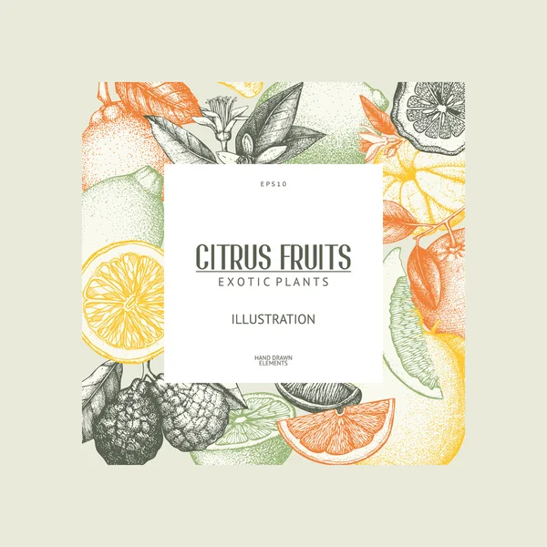 Bläck hand dras citrus — Stock vektor