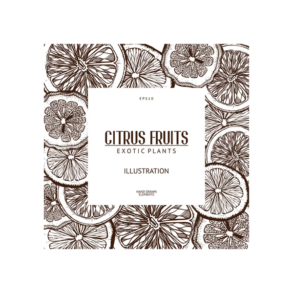 Ink hand drawn citrus — Wektor stockowy