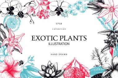  ink hand drawn exotic plants