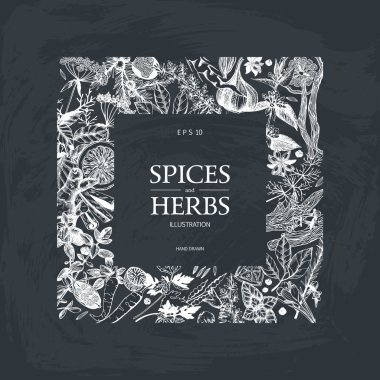Elle çizilmiş baharat ve otlar