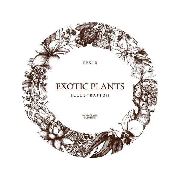 Inkt hand getekende exotische planten — Stockvector