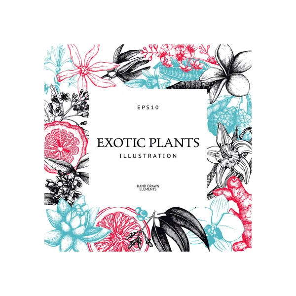 Tinta mão desenhada plantas exóticas —  Vetores de Stock