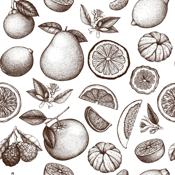 Naadloze inkt hand getekend citrus — Stockvector