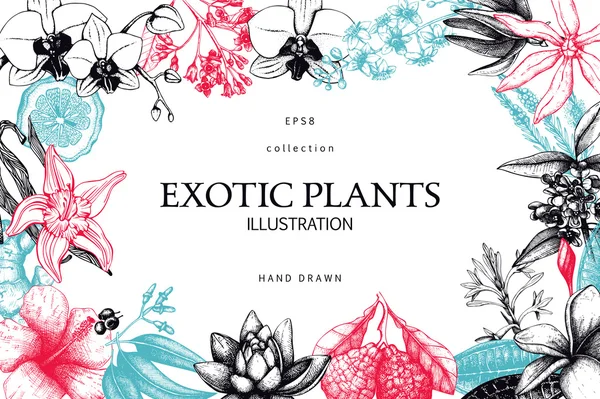 Inkt hand getekende exotische planten — Stockvector