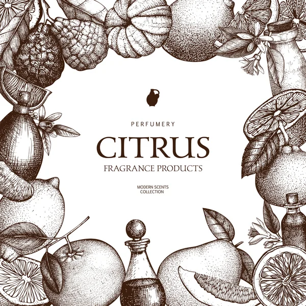 Sketched citrus parfumery and cosmetics design — Stok Vektör