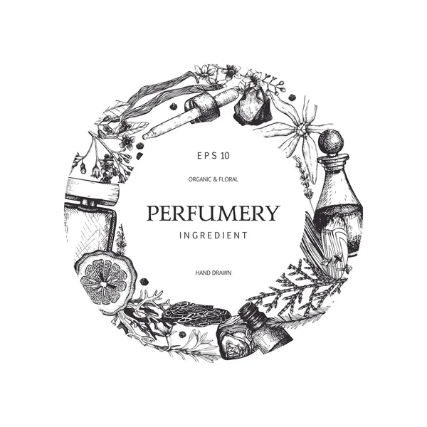 Diseño para cosméticos y perfumería — Vector de stock