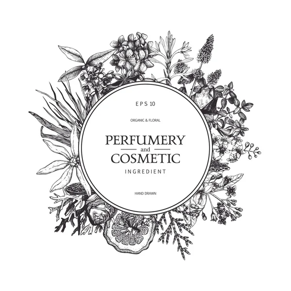 Diseño para cosméticos y perfumería — Archivo Imágenes Vectoriales